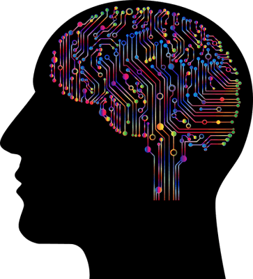 La Programmation Neuro Linguistique